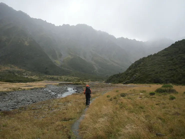 沿著僅容一人通過的山徑,在Rees河谷中健行。