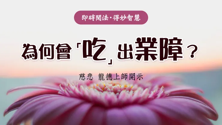 慈悲 龍德上師：為何會吃出業障？