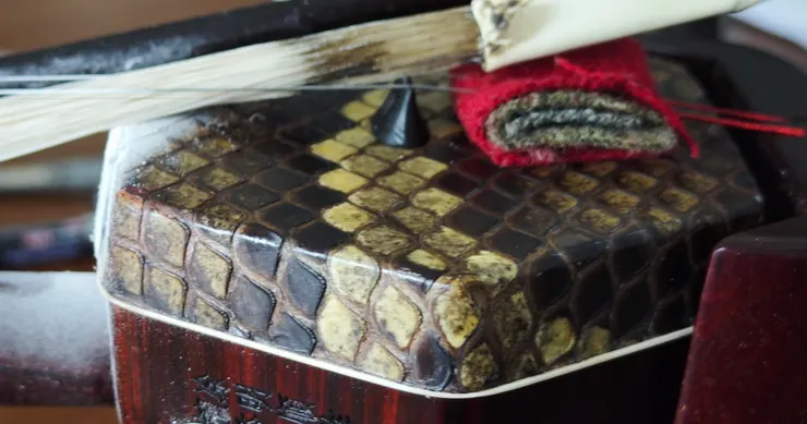 二胡琴皮多為蟒皮，怕潮、怕乾、怕高溫。潮濕天氣可在琴盒內放乾燥劑，避免琴皮鬆弛變音