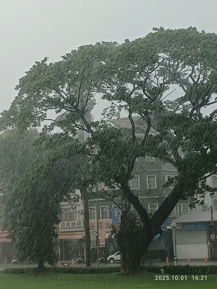 雨輕負，秋聲碎