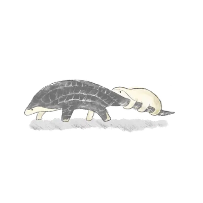 🍋🗻檸檬富士山