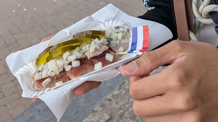 Photo: Zora @ Amsterdam, Netherlands. Aug 4, 2025.