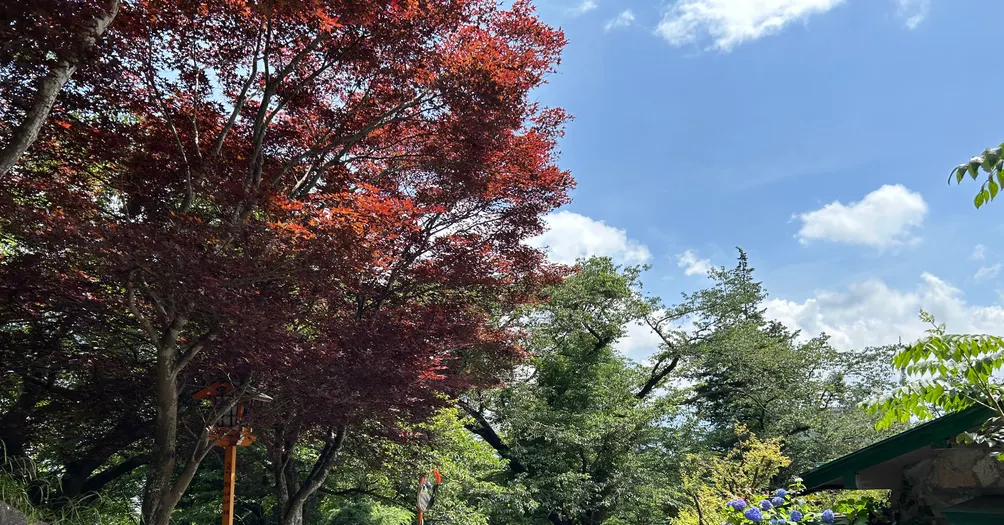 兼職的吟遊詩人