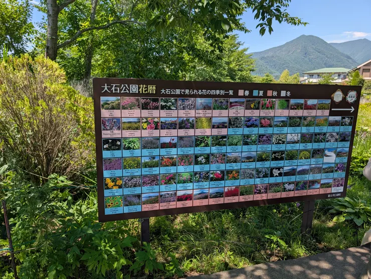 大石公園一年四季的花朵