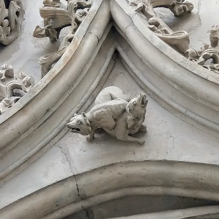 表情猙獰的狼與犬，表達我混亂的心情