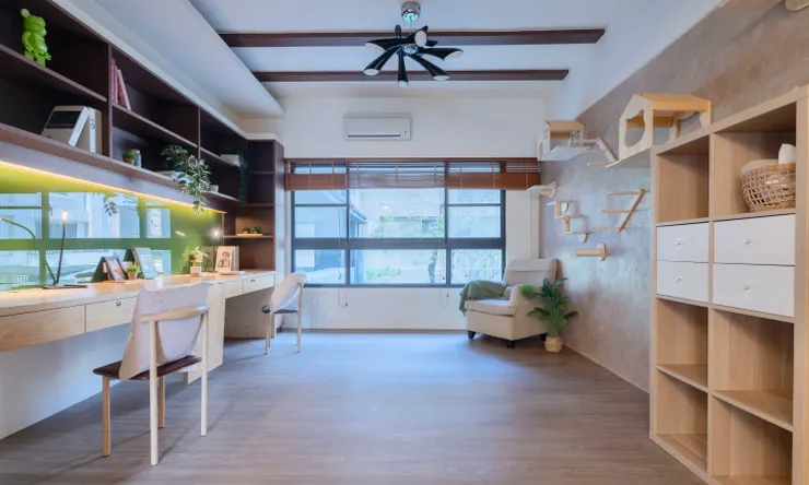 圖照來源：SAND Partners