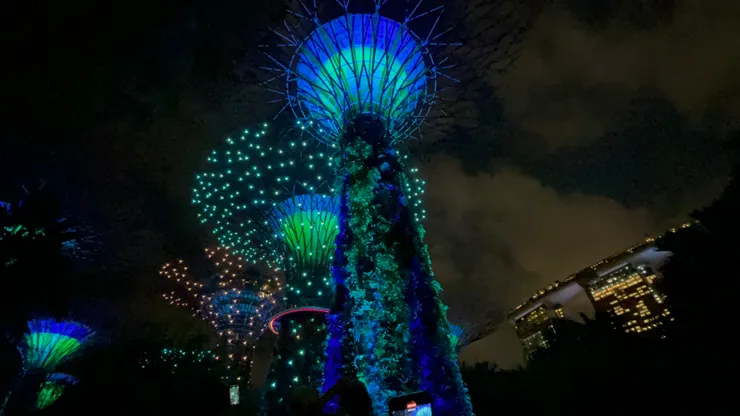 變換顏色的超級樹