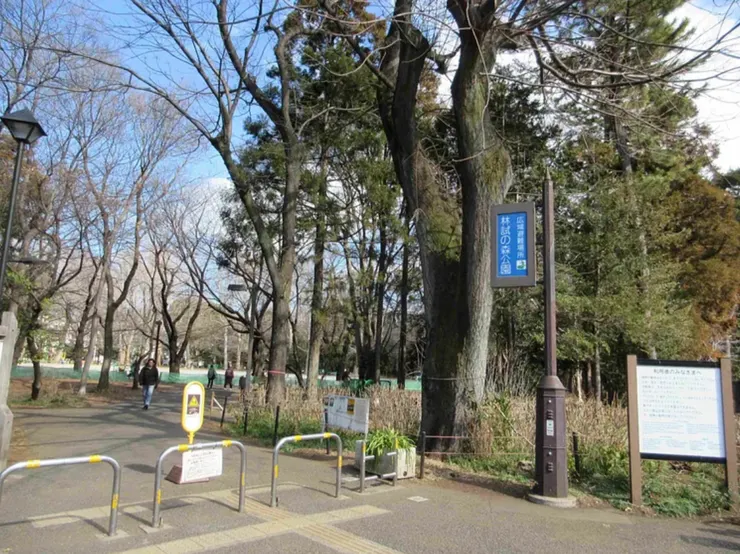 林試の森公園