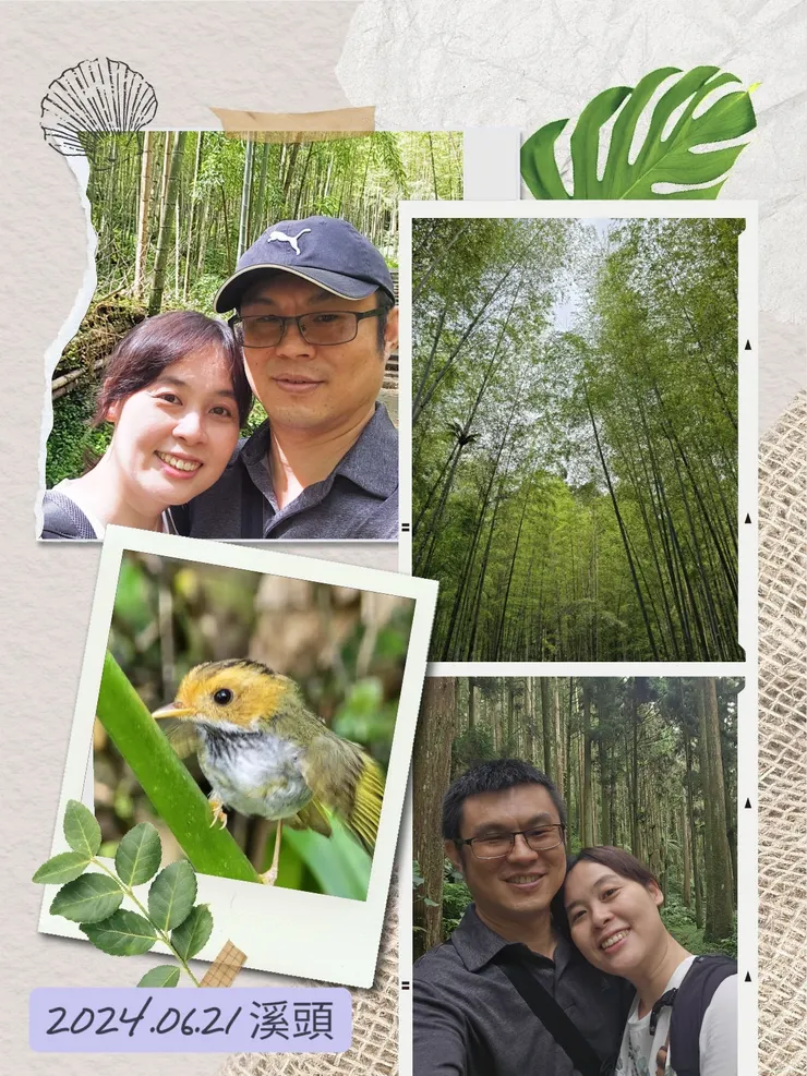 2024重遊溪頭