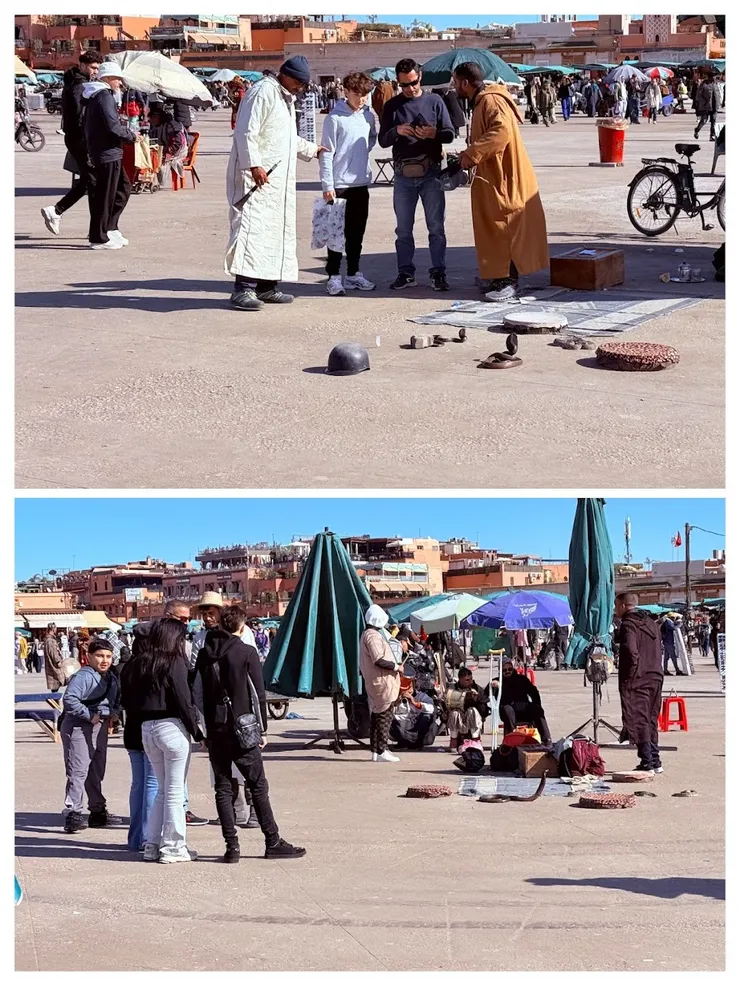 正式跟弄蛇人拍照是要給小費