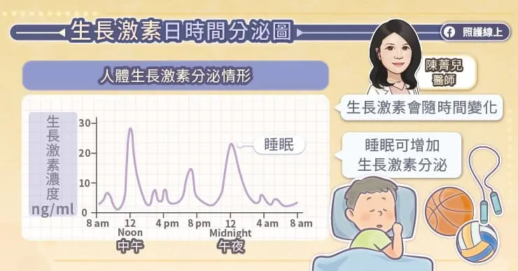生長激素日時間分泌圖