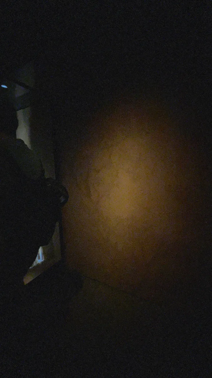 其實因為現場太暗，我的手機拍不出來，但展間的牆上有些花紋暗影，很有意思，呼應展名「大美不言」