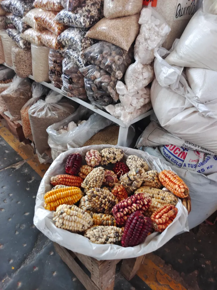 前方各種不同的玉米。深紫色的玉米可製成秘魯的傳統飲料：紫玉米汁（Chicha morada）。紫玉米汁是將紫色玉米、鳳梨皮及木梨片一起放入水中熬煮，酌量加入肉桂及丁香，過濾待涼後加入適當的糖，成為冰涼酸甜的大眾飲料。