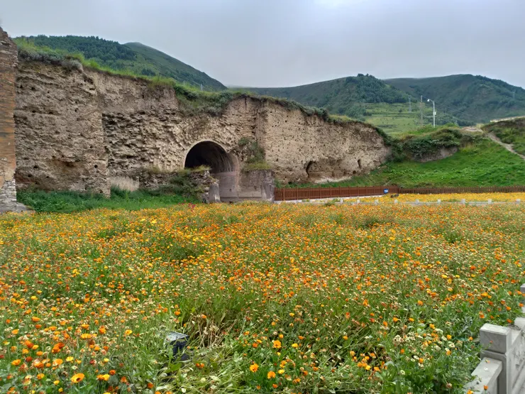 古城牆邊開滿花卉