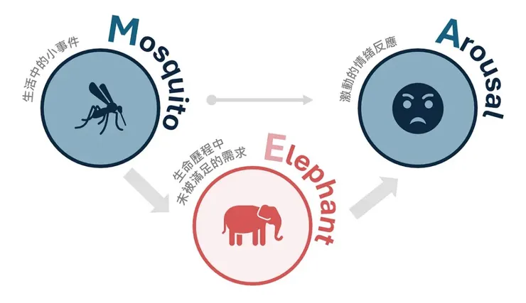 蚊子大象與情緒ABC理論