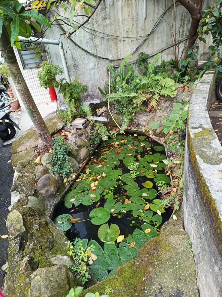 命案現場，受害者在小池旁步道急救