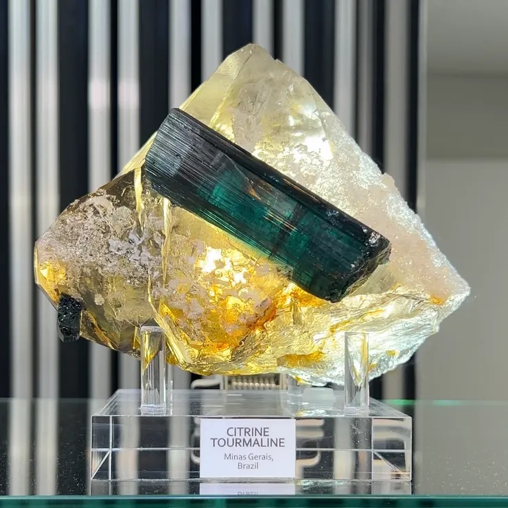 巴西的茶晶與電氣石共生，尺寸大完整度高，很驚人。