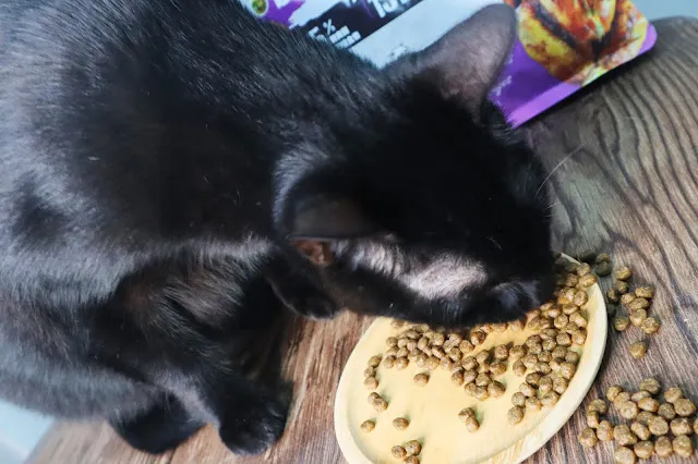 PETA寵物｜ABSOLUTE HOLISTIC超越顛峰-毛球排出(福福瘋狂掃食)