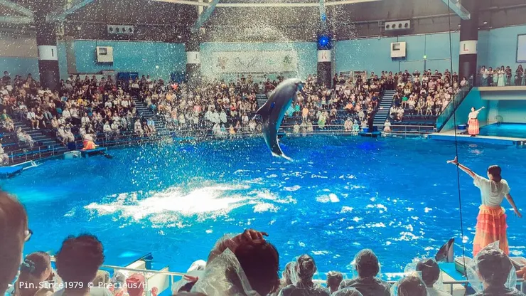 轟濺的瞬間，滿場歡樂笑聲，氣氛掌控尤其好。