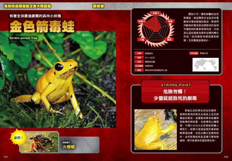 金色箭毒蛙｜最強戰鬥6 危險爬蟲類 最強王者大戰圖鑑｜小角落文化