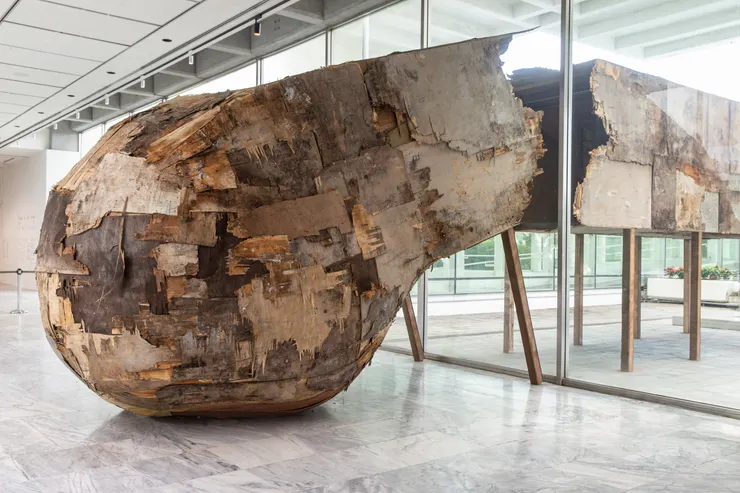 亨里克・奧利維拉，《雜草》（Cizania），2025，層板、回收層板，尺寸依空間而定，藝術家版權所有，由2025 台北雙年展委託製作，材料贊助：民伍實業有限公司、冠帝興業有限公司。本作品承蒙Almeida & Dale 慷慨支持，得以實現。／圖像提供：臺北市立美術館