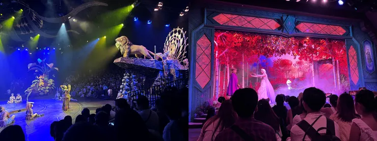 雙寶老爹006208定期定額記錄，2024年07月