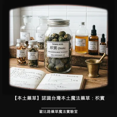 🌿🔮【本土藥草】認識台灣本土魔法藥草：枳實✨