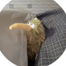 不野的鳥巢的沙龍