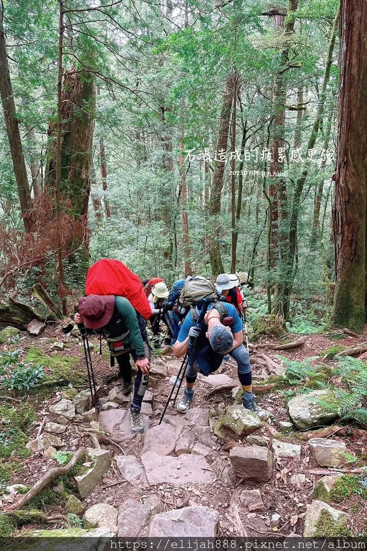 【大霸群峰4百岳。兩天一夜】觀霧大鹿林道東線騎越野單車/馬達