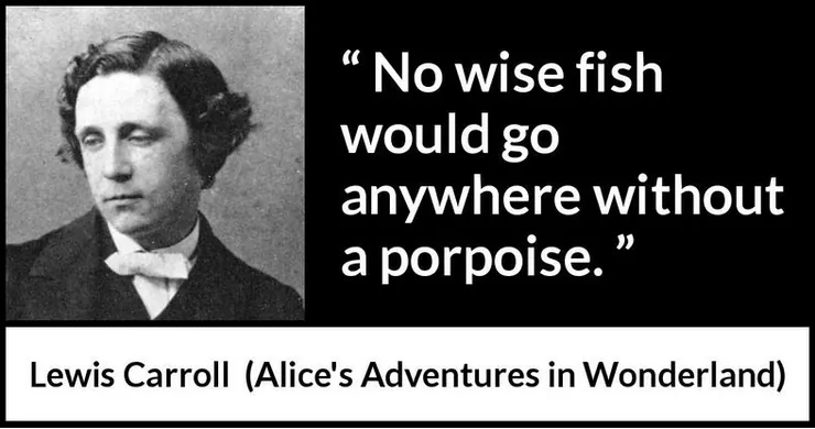 沒有鼠海豚 (porpoise) 的地方，高明的魚都不會去 or 高明的魚不會無目的 (purpose) 地都處跑