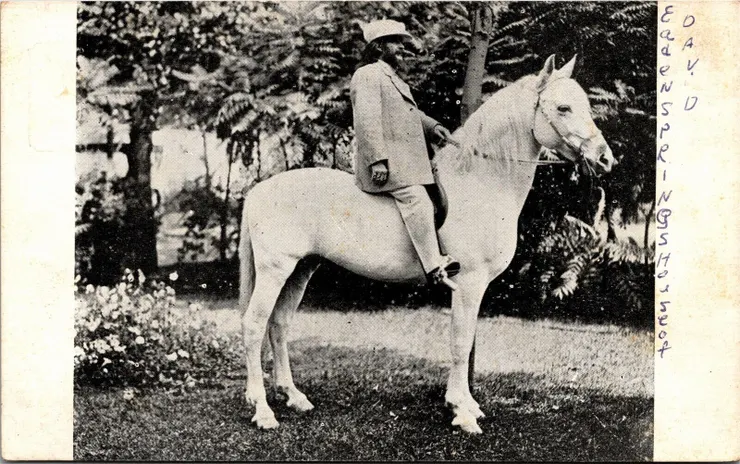 大衛之家樂園伊甸園之泉（ Eden Springs Park）販售的明信片