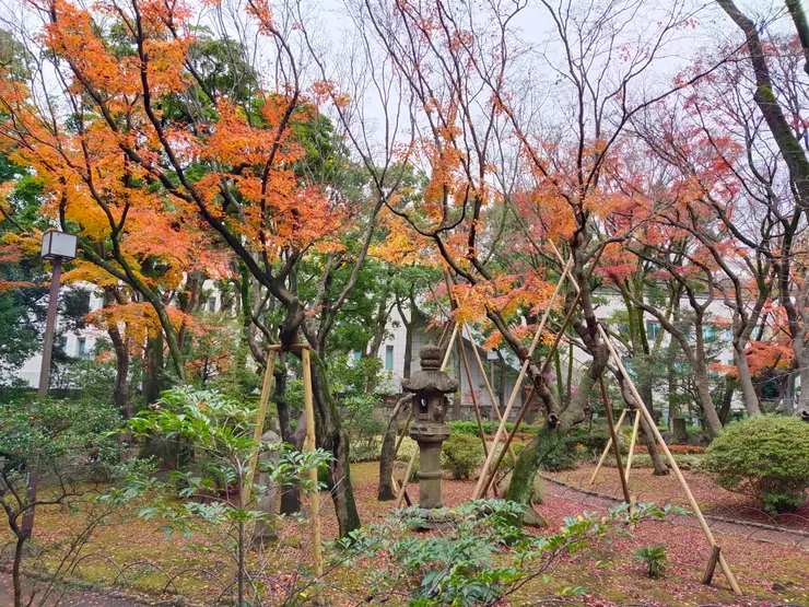 路過的公園，雨天的驚喜