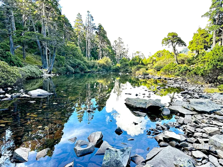 我心目中高山湖泊的第一名─小而美的翠池(照片為隊友提供)