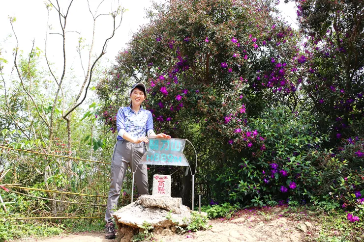 ▲關刀山( H:889公尺， #125三等三角點基石，編號36小百岳)