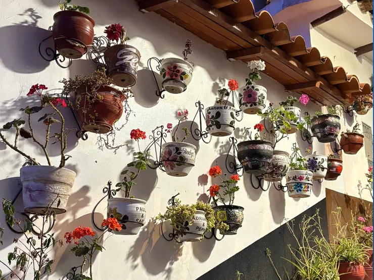 社區環境維護得很乾淨又可愛