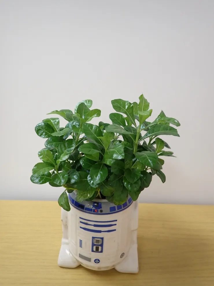 中山社大114.09.25