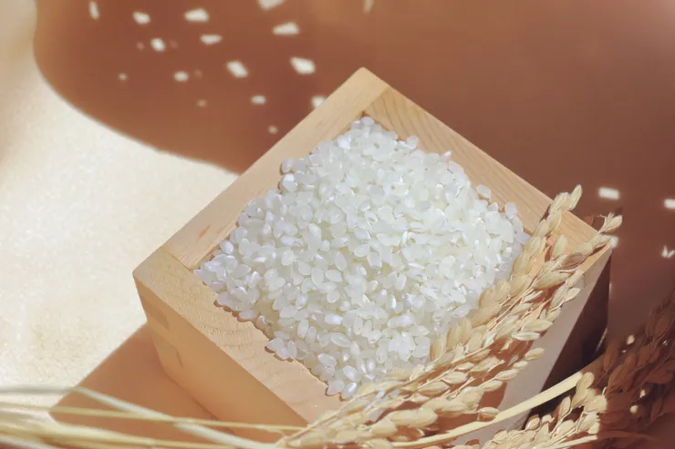 示意圖(圖源:Photo AC)