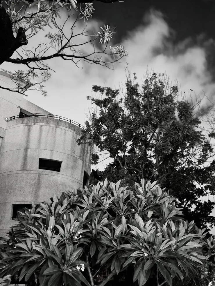 DAY 4 不舒服也是一種美