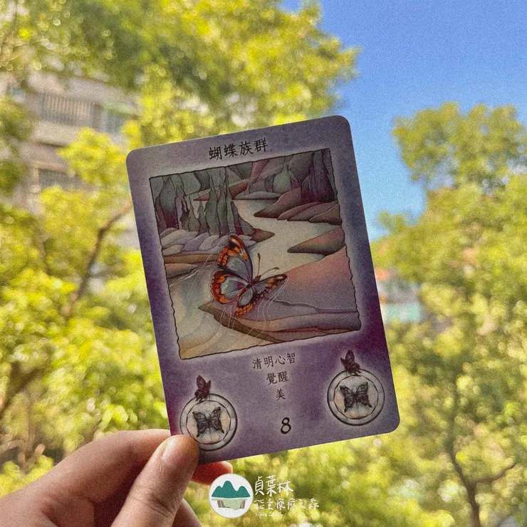 醫藥輪：蝴蝶族群