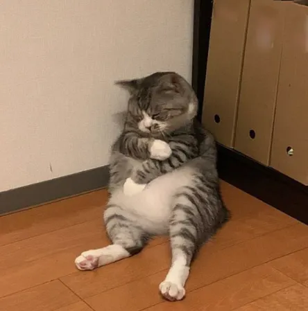 再回答我就要夭折了QQ