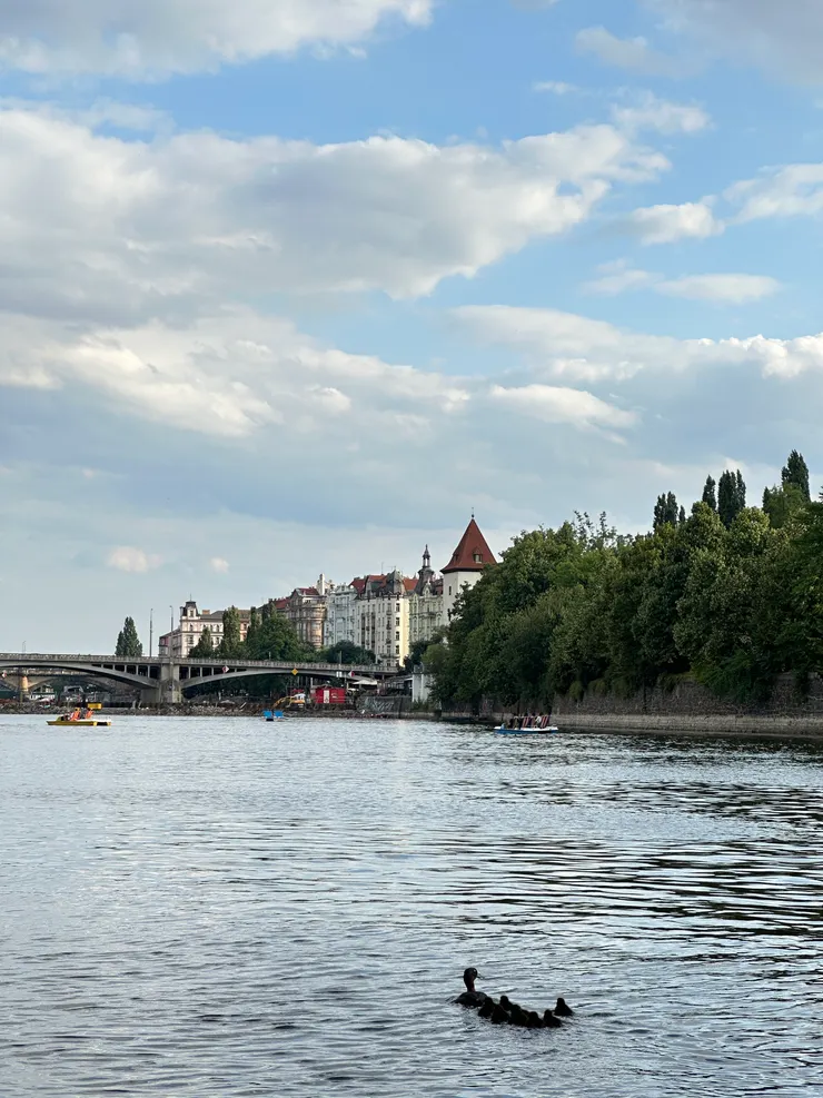 看著鴨鴨和水波就覺得好放鬆!