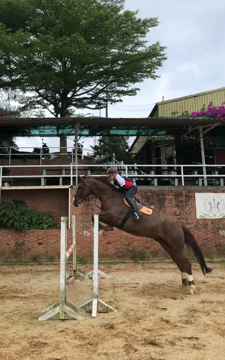 照片為宏林跨媒體集團執行長程俊昇與馬名大帥在場上的英姿，由謝煥祥總教練親自指導提升馬術運動的技巧