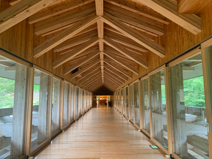 從後面往前拍。