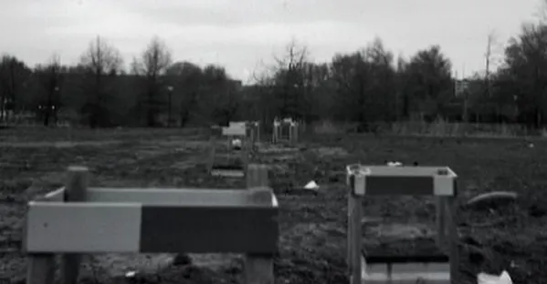 仰婷的文思奇想