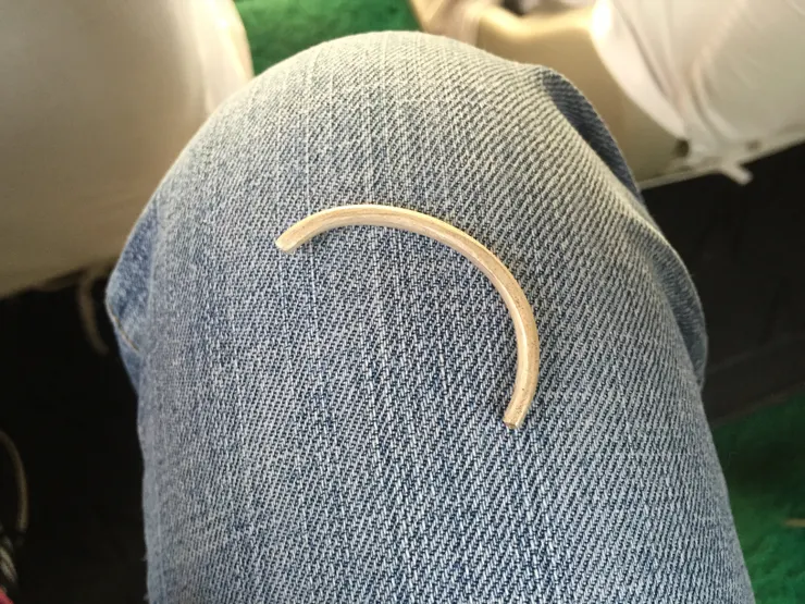 真的是一段銀子啊!