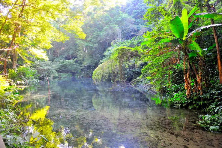 【四十二份溪流湧泉依舊清澈見底 山水如恆但人皆無恙多麼不容易】