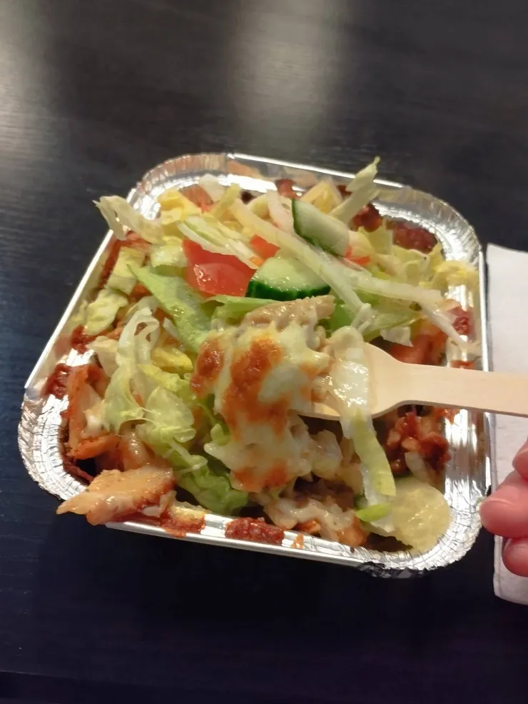 熱量爆表但也爆美味的kapsalon