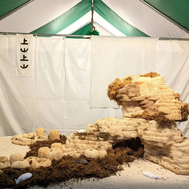 上山上山為實體市集打造澎湃的擺設。