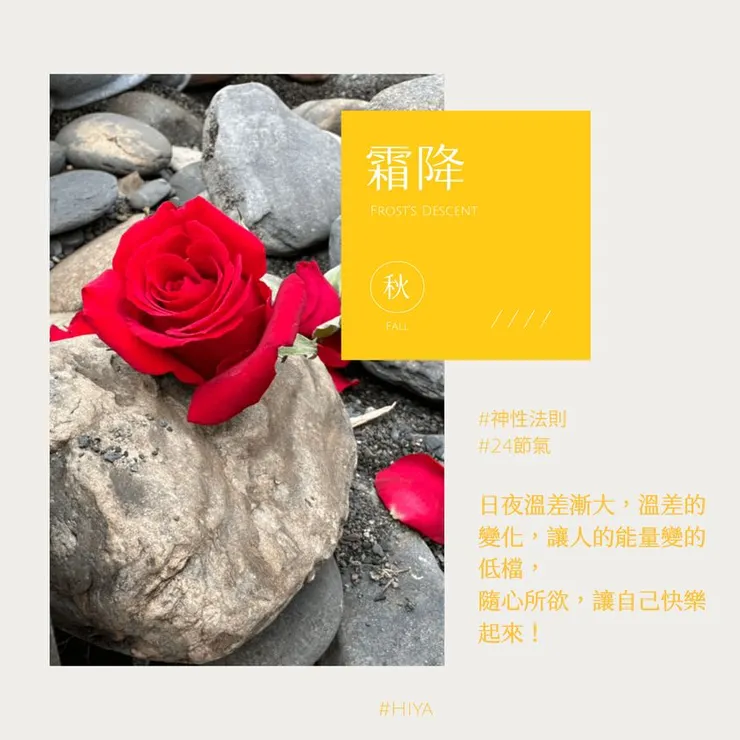 霜降 Frost's Descent 2023/10/24