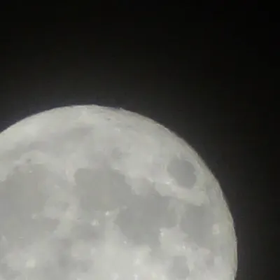 月亮島上的瑩火蟲的沙龍